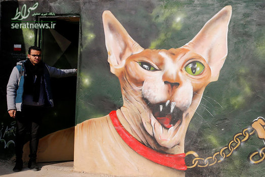 نقاشی دیواری عجیب یک گربه بر روی دیواری در قاهره مصر