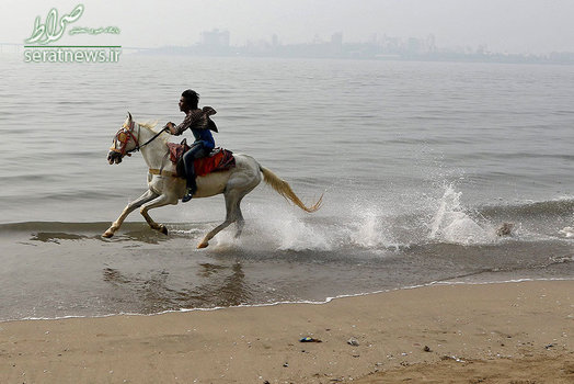 اسب سواری مرد هندی در امتدا سواحل دریای عرب در بمبئی