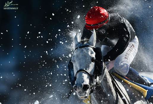 رقابت های اسب سواری روی دریاچه یخ زده در سوئیس
