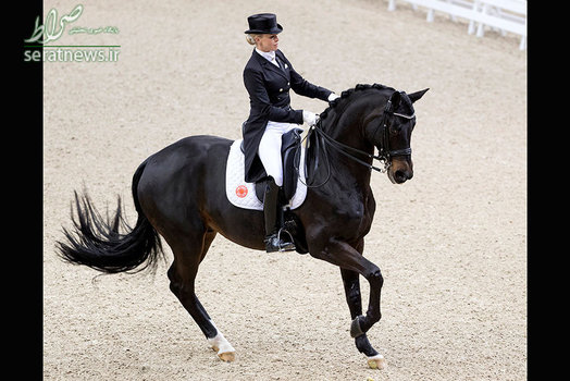 جسیکا سوارکار آلمانی در رقابت های سوارکاری درساژ در گوتنبرگ سوئد