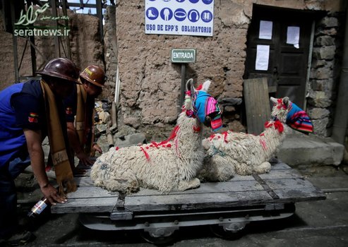 کارگران معدنی در بولیوی در حال حمل دو قربانی جهت شرکت در یک کارناوال