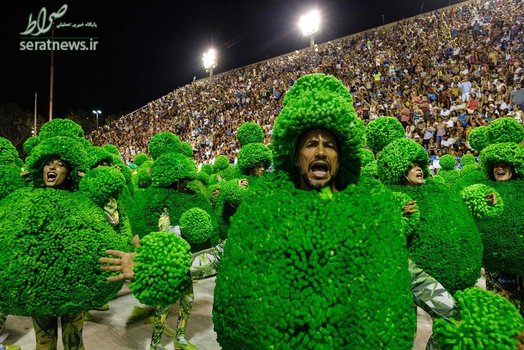 اعضای یک مدرسه رقص سامبا در کارناوال ریودوژانیرو