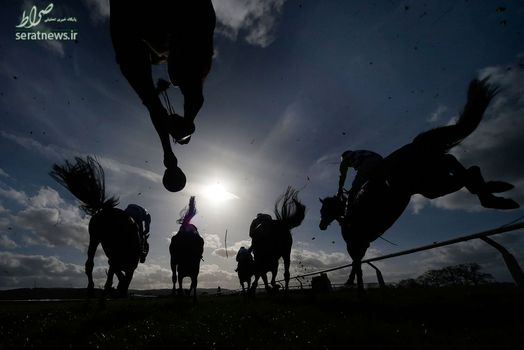 مسابقات اسب سواری در  تاونتون انگلیس