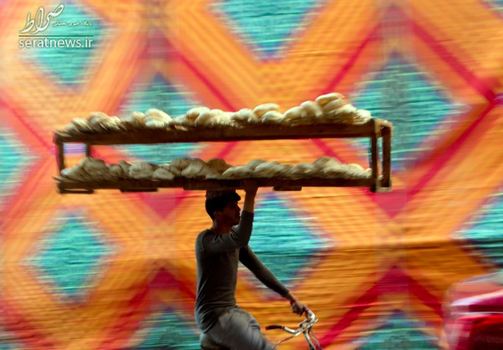 یک فروشنده نان با دوچرخه در قاهره، مصر