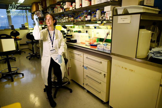 کاترین رینولدز 37 ساله محقق علمی در کالج امپریال لندن