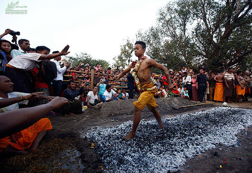 راه رفتن یک نوجوان هند روی زغال آتش در جریان برگزاری یک جشنواره سنتی - یانگون، میانمار