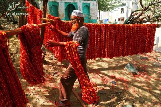 یک کارگر در حال خشک کردن کلافهای نخ پس از رنگ زدن آنها در هند