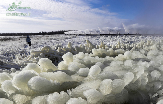 راه رفتن یک زن بر روی یک چمن یخ زده در جنوب شرقی مینسک بلاروس