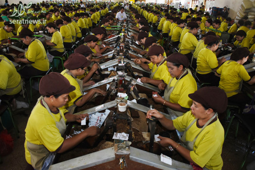 کارکنان یک شرکت تولید سیگار در اندونزی