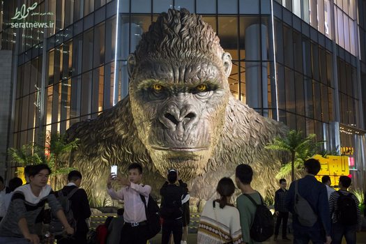 مجسمه غول پیکر از گوریل افسانه‌ای غول پیکر فیلم کینگ کونگ در گانگژو چین