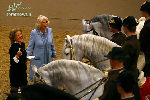 کامیلا، دوشس کورنوال همسر دوم ولیعهد انگلیس در یک دانشکده سوارکاری در وین