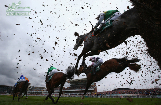  مسابقات سوارکاری در لیورپول انگلیس