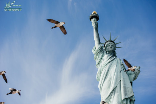 نمایی از مجسمه آزادی و عبور پرندگان از کنار آن