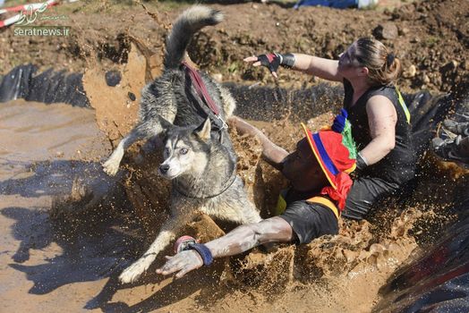 شرکت با سگ در مسابقه عبور از موانع در سوئیس