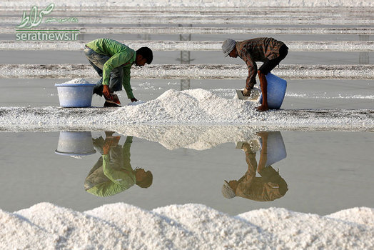 کارگران در حال جمع آوری نمک در بمبئی هند