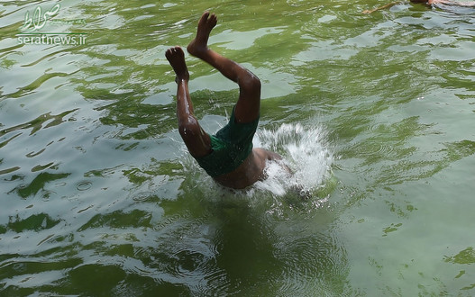 شیرچه یک جوان هندی در استخر آب در هوای گرم دهلی نو