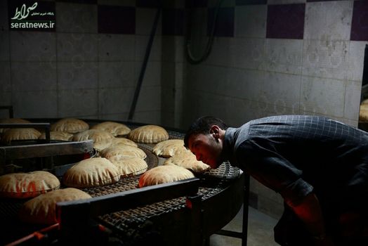 بازرسی خط نان در یک نانوایی - دوما، سوریه، هر کیلو نان در این نانوایی 2 دلار فروخته می شود