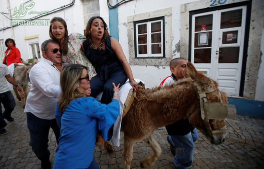 الاغ سواری زنان در طول برگزاری جشن های هفته مقدس در آلکوشاچی پرتغال