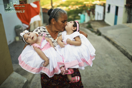یک مادربزرگ برزیلی دو نوه خود را که مبتلا به میکروسفالی هستند در آغوش گرفته است