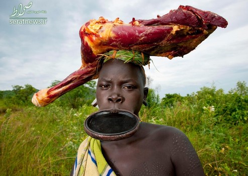 یک زن  قبیله سوری در اتیوپی که بشقابی بزرگ در دهان و تکه گوشت یک حیوان به سر دارد