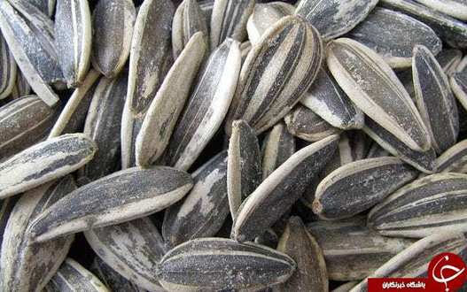 تخمه آفتاب آفتابگردان در سینماهای اسپانیا