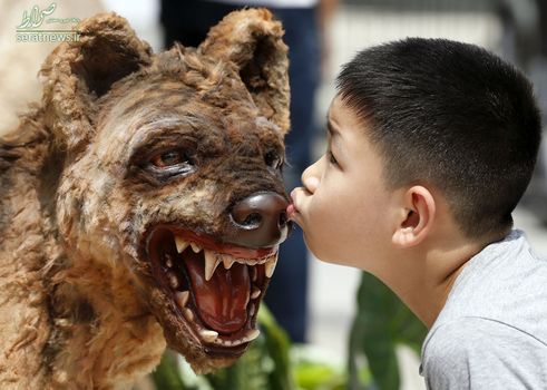 بوسه یک پسر به مدل یک کفتار ماقبل تاریخ در بانکوک تایلند