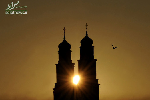 پرواز یک مرغ دریایی بر فراز کلیسای جامع ارتدوکس در مینسک