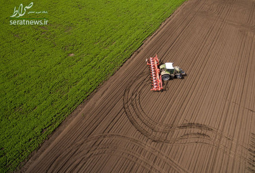 کشت و زرع بهاری در مزارع اتحادیه کشاورزی کوبان در ناحیه کراسنودار روسیه
