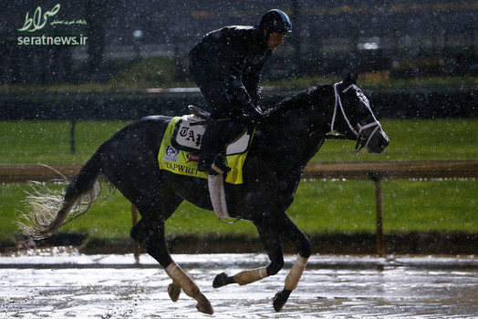 اسب سواری در لوئیزویل آمریکا