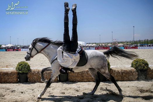 حرکت نمایشی یک سوارکار در استانبول