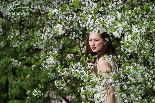 یک زن در باغ سیب کولومنسکویه روسیه