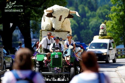 جشنواره شکوفه های نرگس در اتریش
