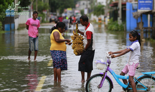موزفروشی یک مرد در خیابان های آب گرفته کلمبو پایتخت سریلانکا