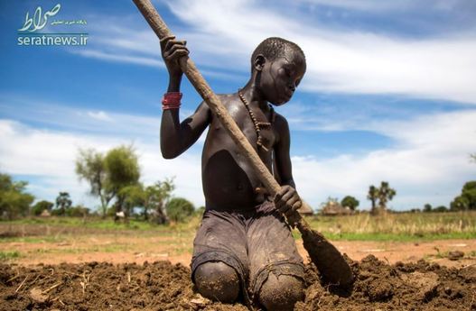 یک نوجوان در حال آماده سازی زمین برای کشت در منطقه بحرالعلوم سودان جنوبی