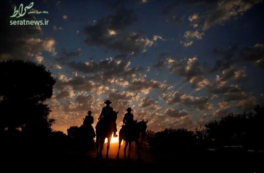 حرکت اسب سواران اسپانیایی در غروب خورشید