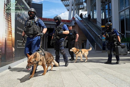 گشتزنی افسران پلیس انگلیس با سگ های پلیس در لندن