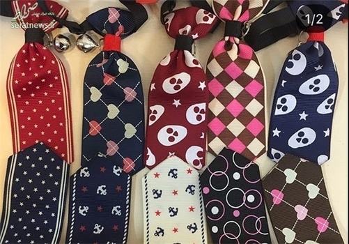  انواع لباس و پاپیون