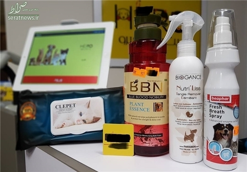  اسپری نظافت دهان و دندان، شامپوی شانه‌کشی روزانه و دستمال معطر ۱۵۱ هزار تومان