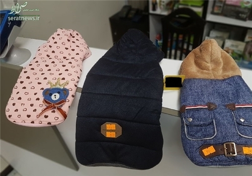  انواع لباس و پاپیون