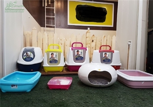 ظرف‌های خاک گربه و جای خواب