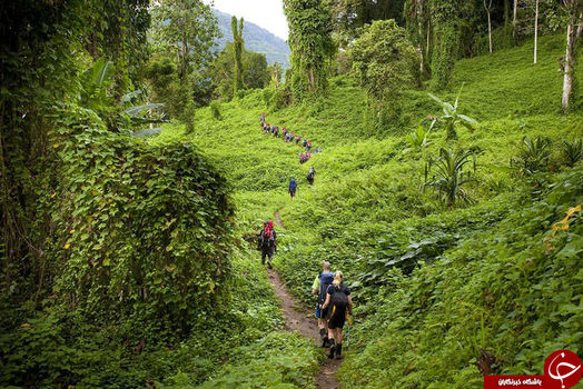 مسیر روورز ران (Rover’s Run)، آلاسکا