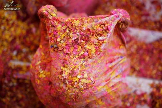 جشن رنگها در هند (جشن هولی)