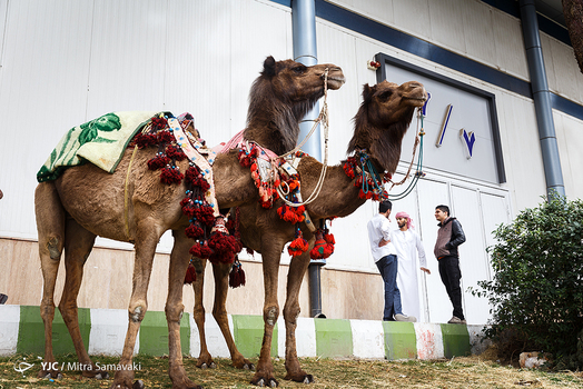 سومین نمایشگاه توانمندی‌های روستائیان و عشایر