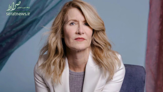 بهترین بازیگر نقش مکمل زن 	  لارا درن برای فیلم «داستان ازدواج»