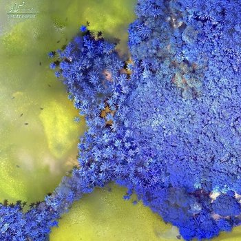 جزیره مرجانی