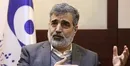 مشوق‌ مالی مجلس برای فرزند آوری و افزایش جمعیت