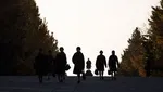 استان‌های رکورددار طلاق در کشور
