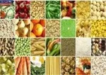 قیمت خوراکی‌ها در بهمن ماه چقدر گران شد؟ +جدول