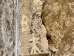 کشف مومیایی ۸۰۰ ساله در پرو + عکس
