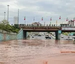 رگبار پراکنده باران و وزش باد شدید در برخی استان‌ها/ کاهش ۴ تا ۸ درجه‌ای دما در برخی مناطق